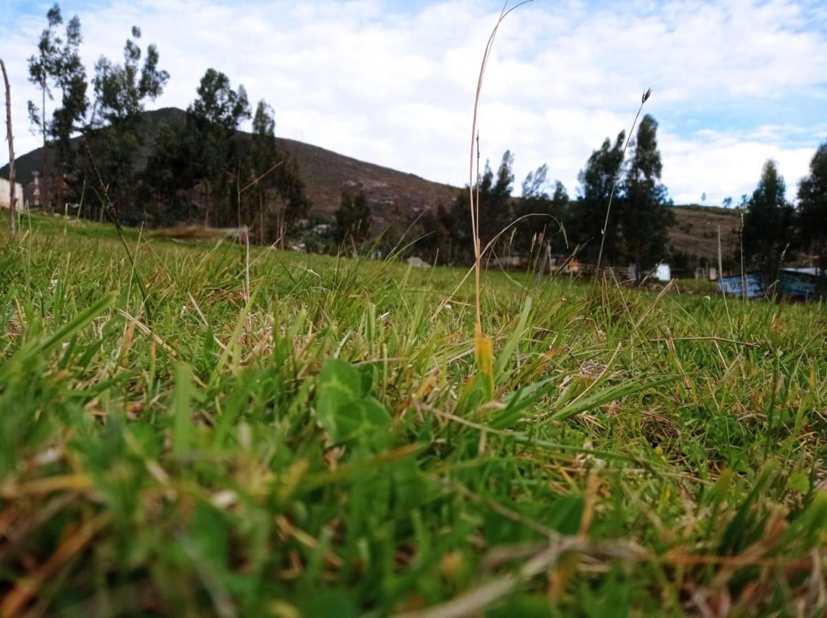 Camping Las Acacias جوتافيتا المظهر الخارجي الصورة