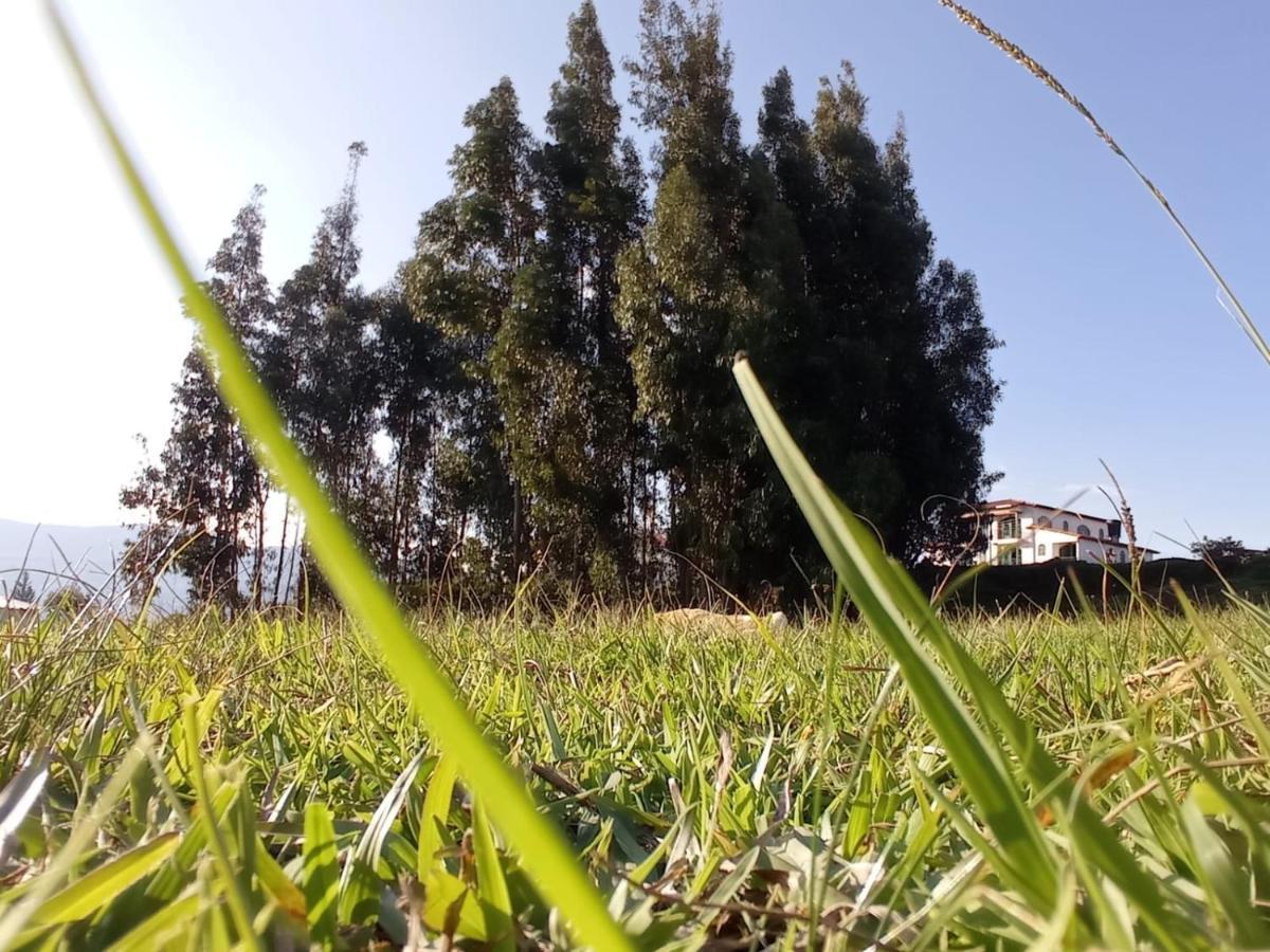 Camping Las Acacias جوتافيتا المظهر الخارجي الصورة