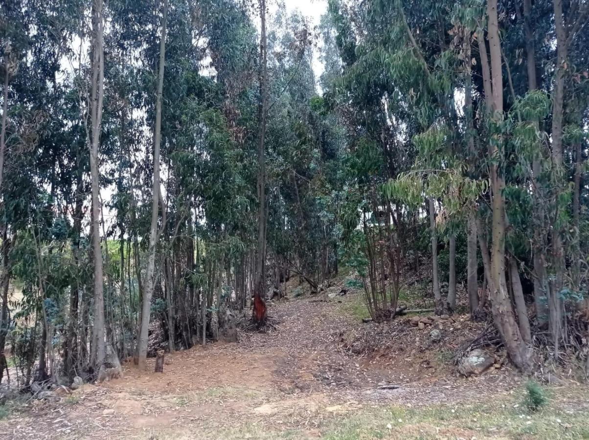 Camping Las Acacias جوتافيتا المظهر الخارجي الصورة