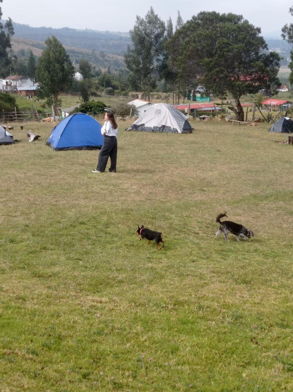 Camping Las Acacias جوتافيتا المظهر الخارجي الصورة
